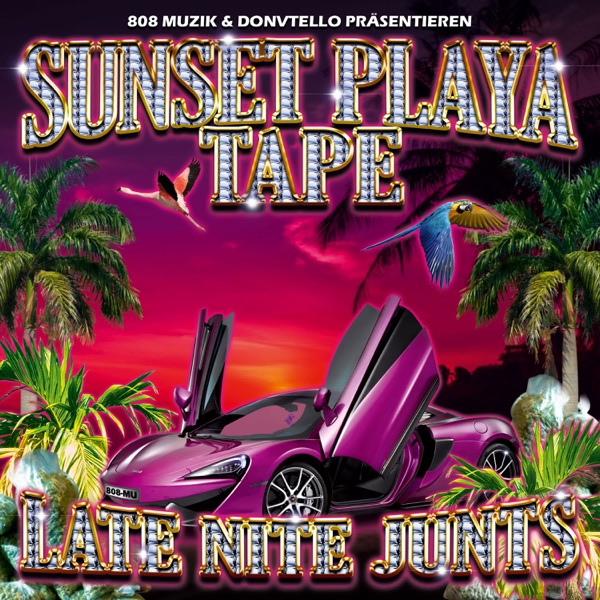 Sunset Playa Tape (Late Nite Junts)