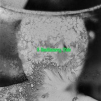 A Cautionary Tale - Single - Frankly