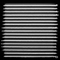 20 lines (feat. SVDFVCE D) - Single - Skoony