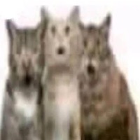 TERMINATORS (feat. backw666s & uncensorable) - Single - alucify