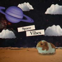 Space Vibes - Single - R U Steve