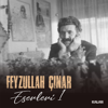 Feyzullah Çınar Eserleri 1 - Various Artists