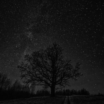 call of the wind w/ saiph - Single