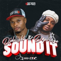 Sound It (feat. Daprinze 77 mopol) - Single - Djdelight