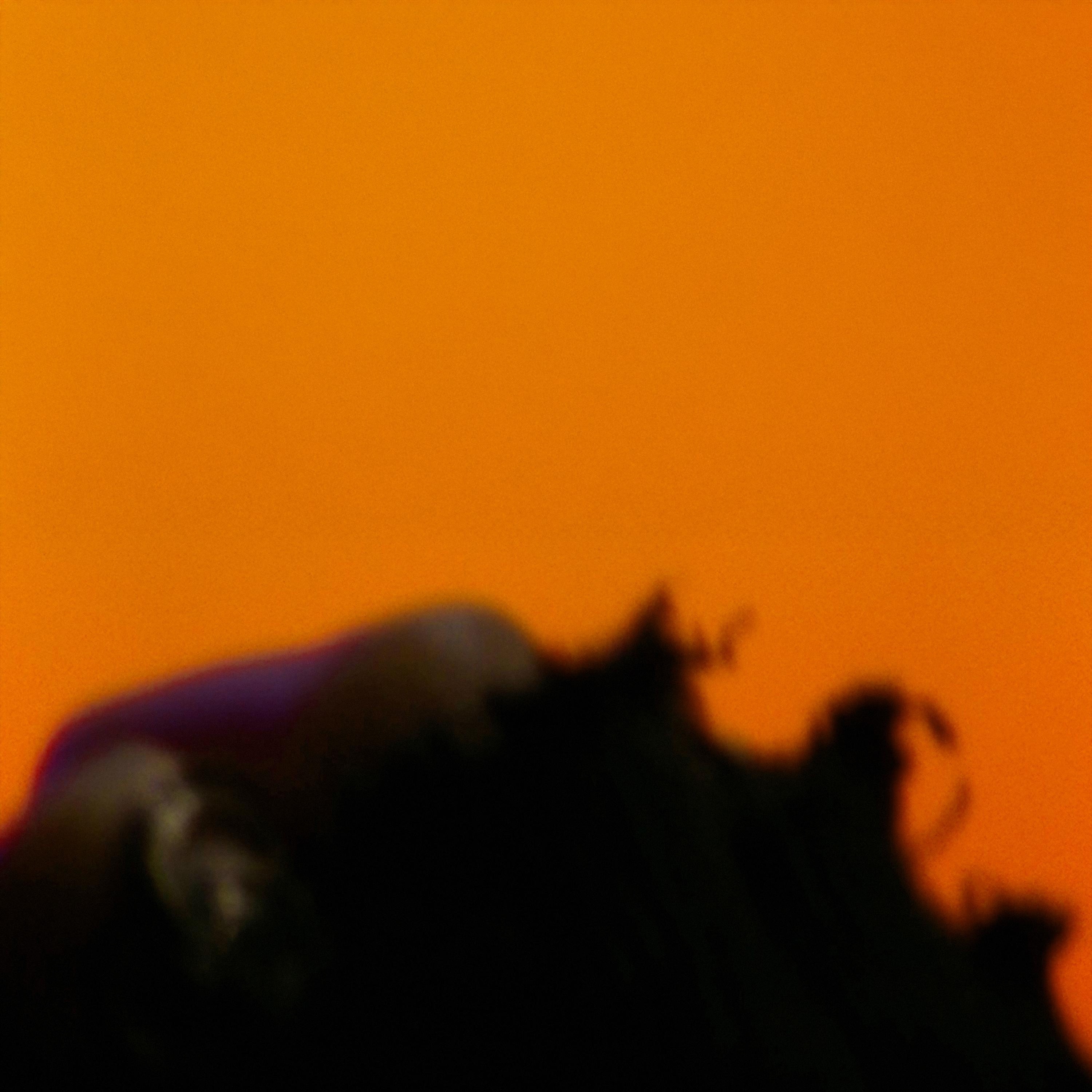 FANCY GLOVES - Single