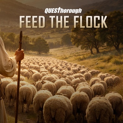 Feed The Flock - Single