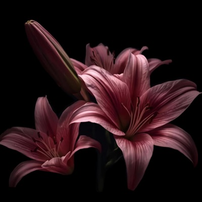 un ratito mas - Single