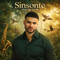 Sinsonte - Single - Yostin Flow