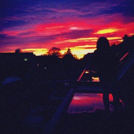 Roof Skies Snarez