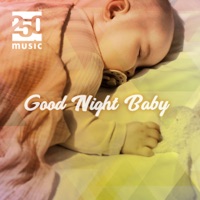 Good Night Baby