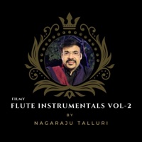 flute instrumentals by Nagaraju Talluri -, Vol. 2 - EP - Nagaraju Talluri