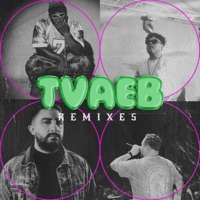 TVAEB (Remixes) - Single - Gerstronik