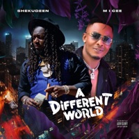A Different World EP - Shekudeen