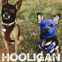 Hooligan - Single - Sean Valy