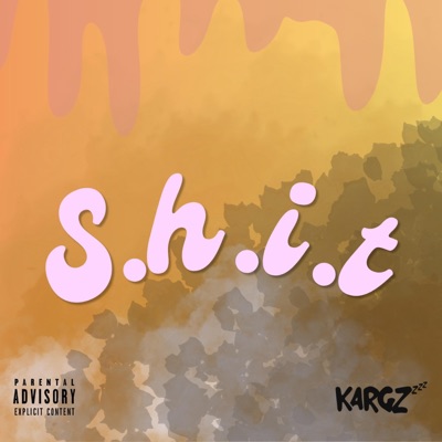 S.H.I.T - Single