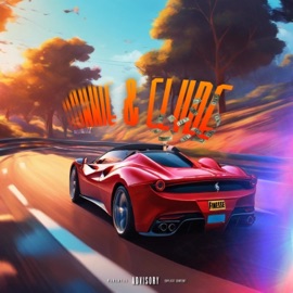 Bonnie & Clyde WillFinesse