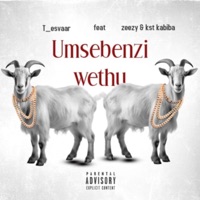 Umsebenzi Wethu (feat. Zeezy & Kst Kabiba) - Single - T_esvaar