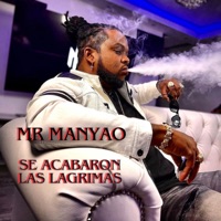 Se Acabaron Las Lágrimas - Single - Mr Manyao