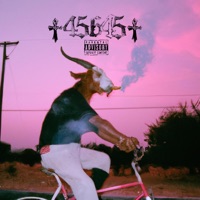 45645 - Single - Molly Ritz