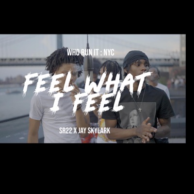 Feel What I Feel (feat. Jayy Skylark) - Single