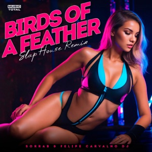 Birds of a Feather (Slap House Remix)