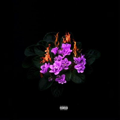 Syringe - Single