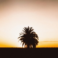 Pure Heat - Single - Dooqu & Luminae