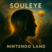 Nintendo Land - Single - Souleye