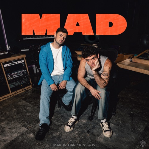 Martin Garrix & Lauv – MAD – Single [iTunes Plus AAC M4A]