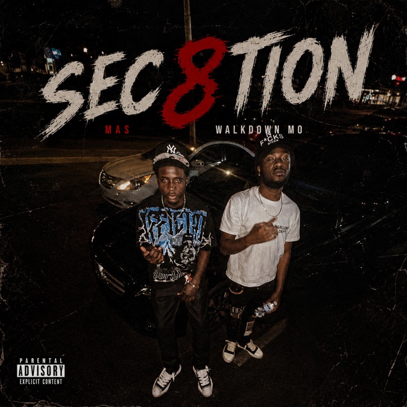 SECTION 8 - Single