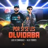 Por Si Se Les Olvidaba - Single