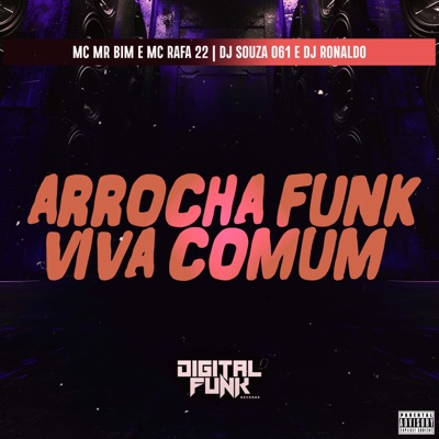 Arrocha Funk Viva Comum - Single