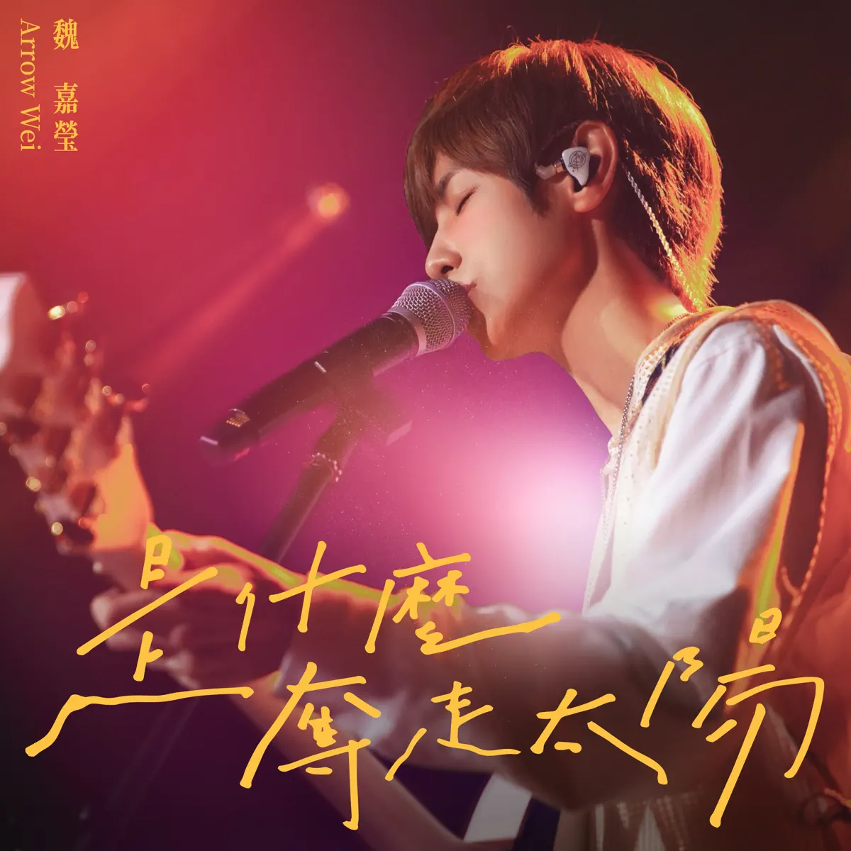 魏嘉瑩 - 是什麼奪走太陽 (日光歸來版) - Single (2024) [iTunes Plus AAC M4A]-新房子