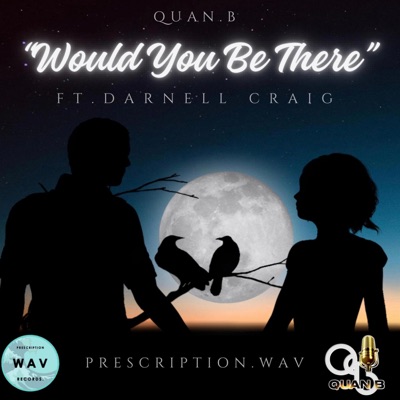 Would You Be There (feat. Darnell Craig) - Single