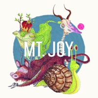 Rearrange Us - Single - Mt. Joy