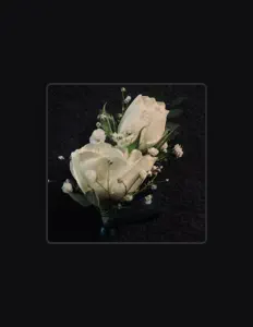 Hör dir $oAP! an, schau dir Musikvideos an, lies die Biografie, finde Tourdaten und mehr!