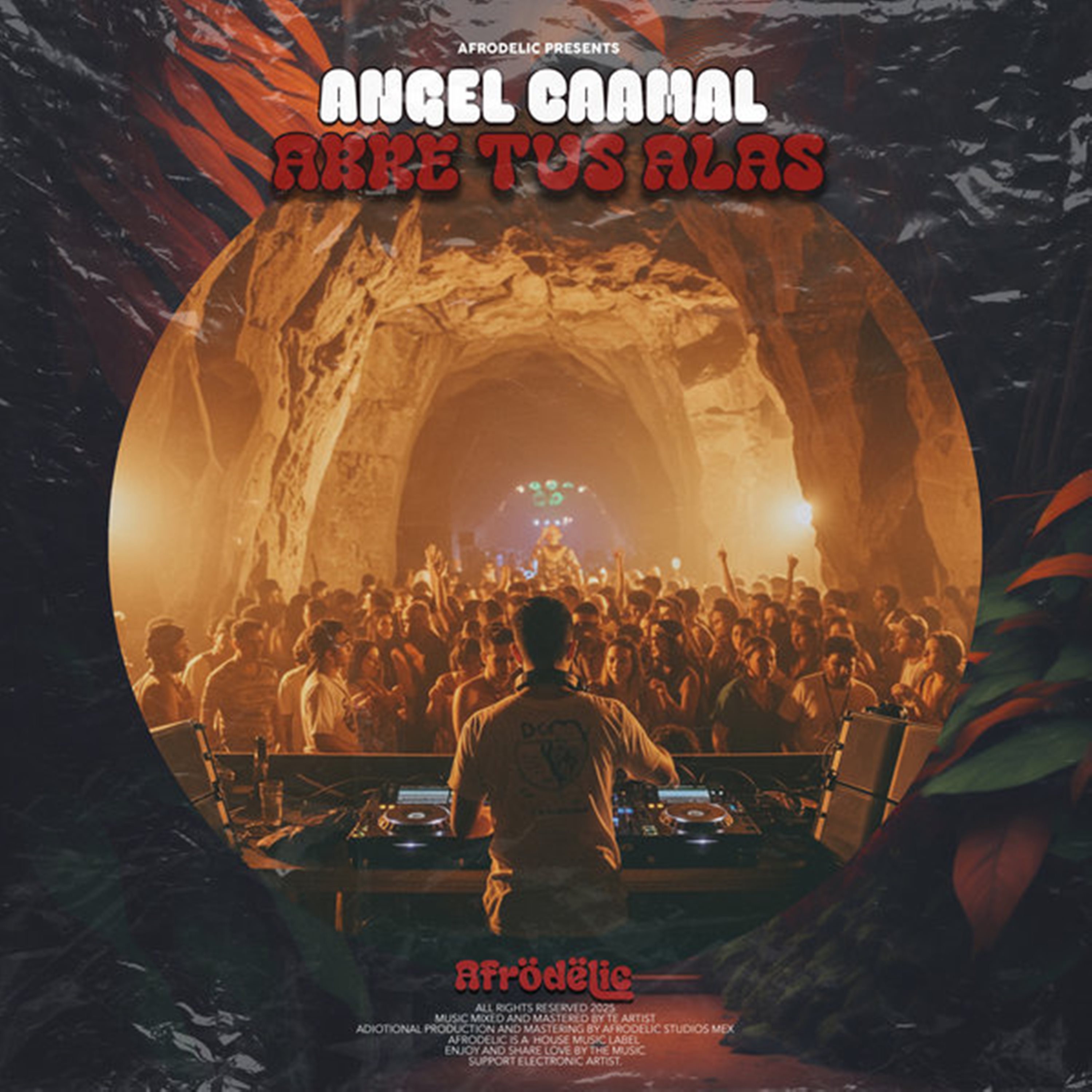 Abre Tus Alas - Single