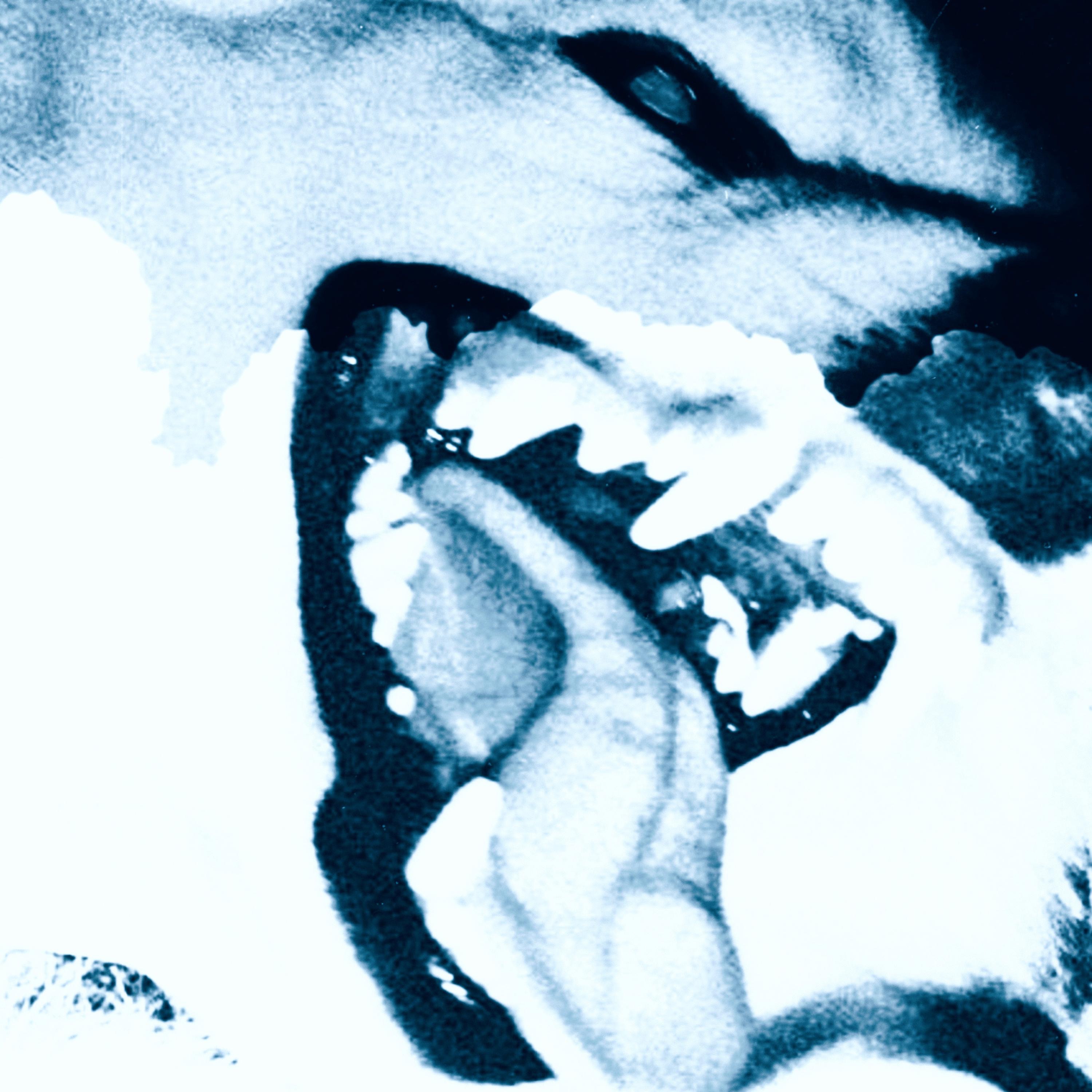 why would i lie? - Single