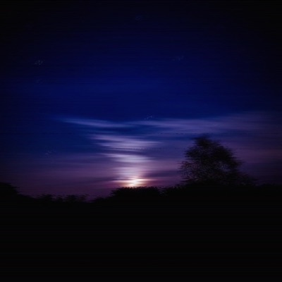 Die Young (feat. lil XipZ, Crizzy White, teddyboi & Danny Adventure) - Single