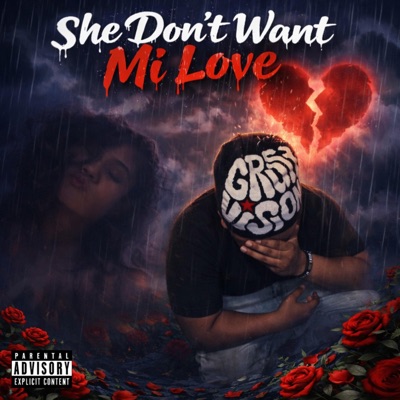 She dont want mi love (feat. lamz) - Single