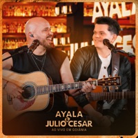 Ayala & Julio Cesar (Ao Vivo Em Goiânia) - Ayala & Julio Cesar