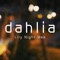 Dahlia - Lily Night Mea lyrics