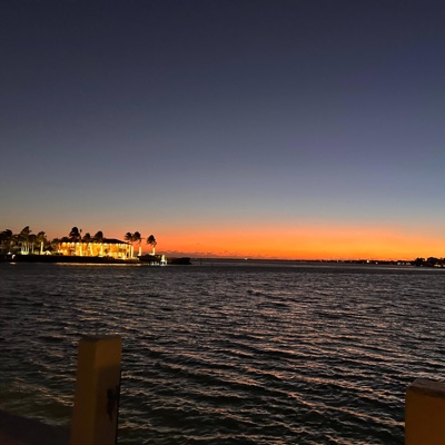 Needa Reminder - Single