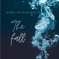 The Fall - Single - Rome in Reverse