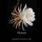 Flower (feat. Sammy) - QianYe Music Lab. lyrics