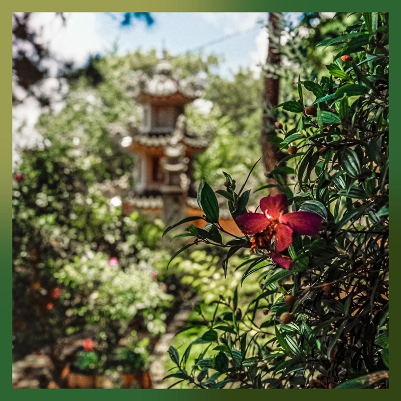 1234 - Fred John's Frost: Song Lyrics, Music Videos & Concerts