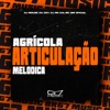 Agrícola Articulação Melódica - Single