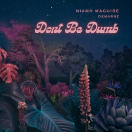 Baby Don't Be Dumb (feat. Niamh Maguire) [Radio Edit] DMZ