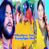 Bhaiwa Tor Kasaiya Ho - Single