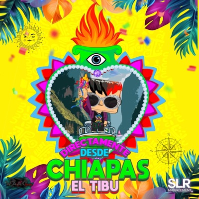 DIRECTAMENTE DESDE CHIAPAS